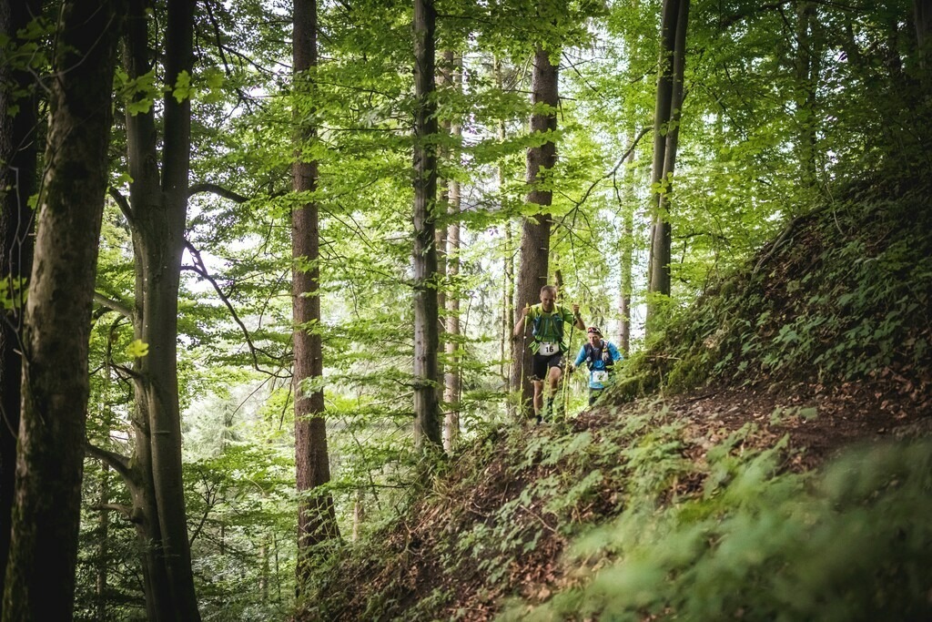 Gebirgsmarathon 2022 | Gebirgsmarathon 2022 - Einer der anspruchsvollsten
​und ältesten Bergläufe
​Deutschlands im Naturpark Nagelfluhkette!

Gebirgsmarathon, 31km, 3050hm
Gebirgstrail, 15km, 1500hm

Foto: Dominik Berchtold
Instagram: d_berchtold_foto
Facebook: d-berchtold-foto