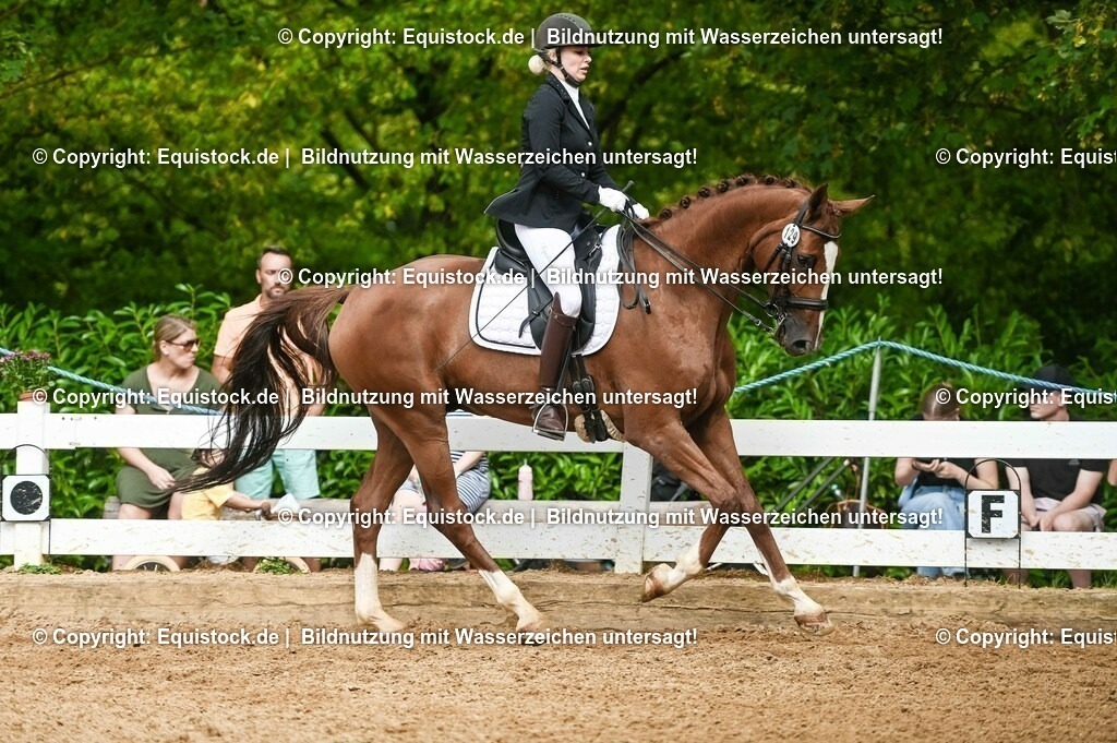 20230716_01_Dressurprüfung Kl.M_0549 | equistock