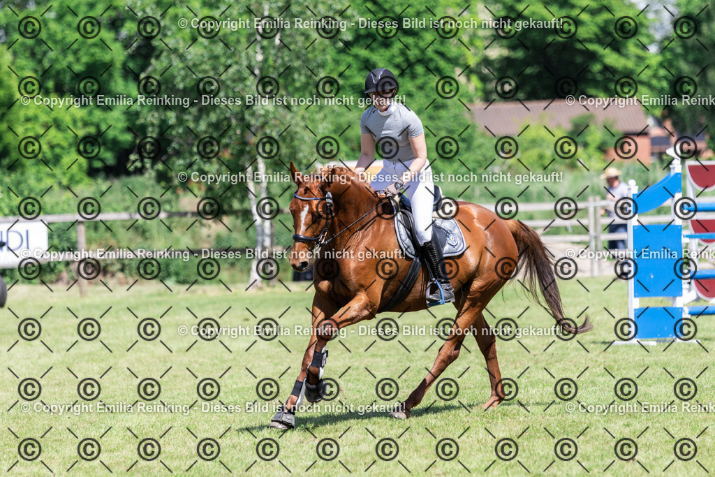 CL5A0053 | Emilia Reinking Fotografie - Realisiert mit Pictrs.com