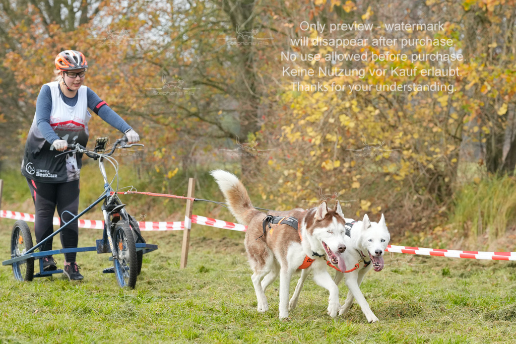 Visbeck_Sa_DS2DR2-154 | stephaniefillaphotographie - Realisiert mit Pictrs.com