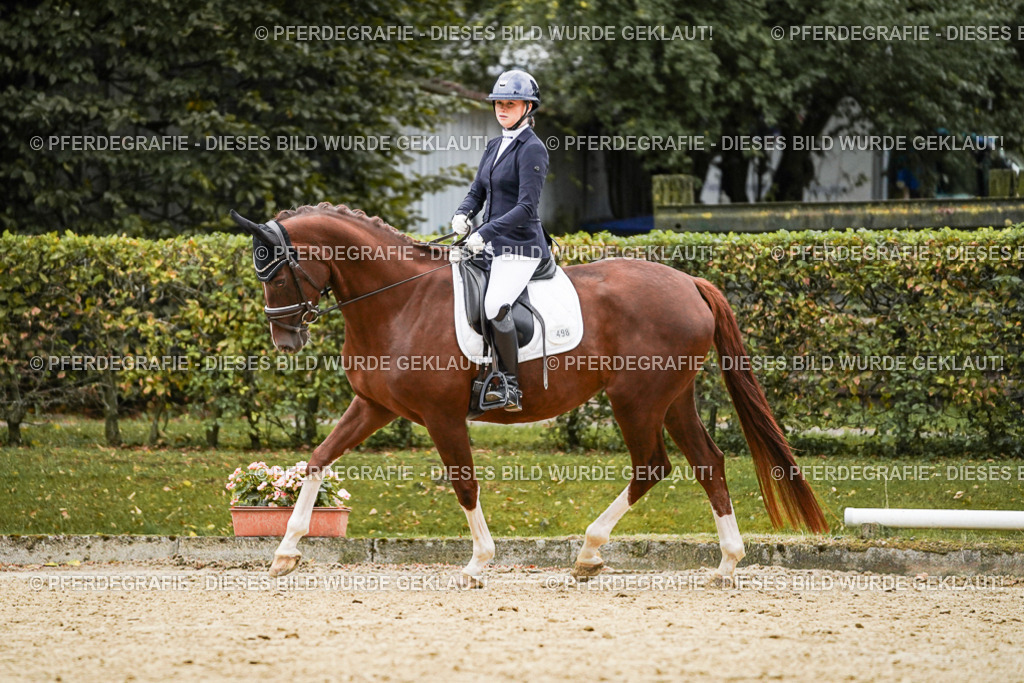 DSC06817 | Pferdegrafie