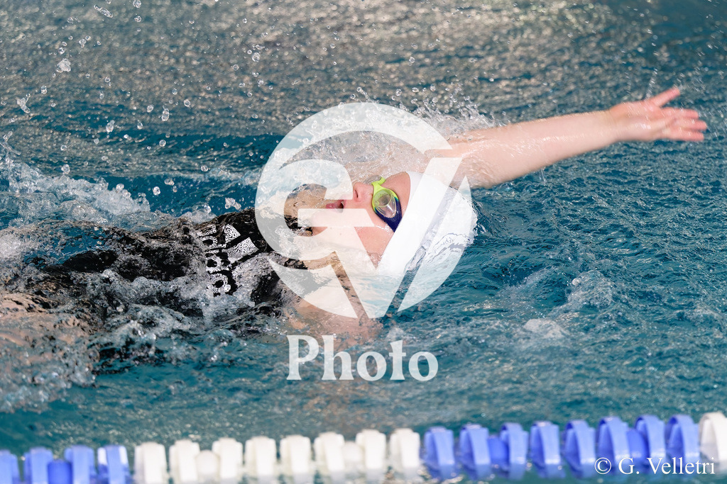 DSC_0545 | Velletri Photo