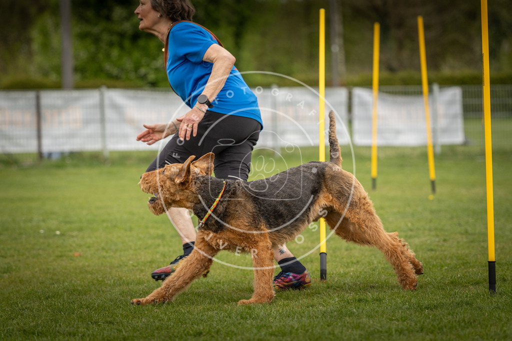 Pfotenfotografie_DV3A7569 | Hundefotografie, Tierfotograf, Pfotenfotografie, Fotoshooting Hund, Hunde Portrait, Hundesport, Hundeportraits, Heideshooting, Hunde, Sportfotograf, Hundefotograf, Turnierhundsport, THS,  - Realisiert mit Pictrs.com