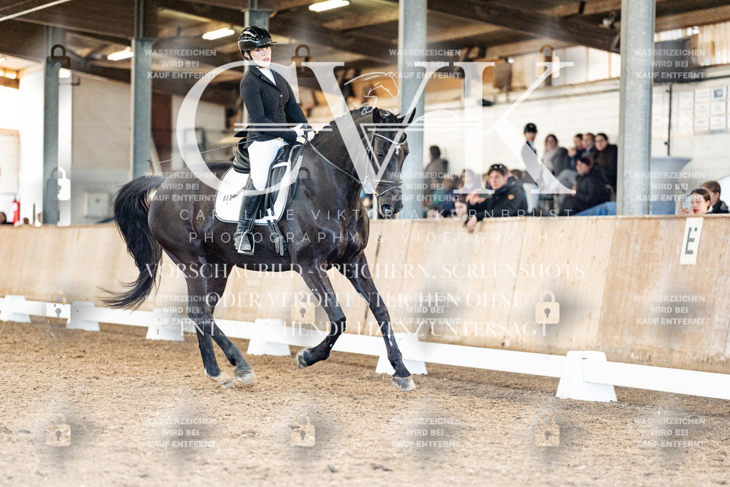 CK909532 | Turnierfotografie Pferdefotografie Trier Rheinland-Pfalz Pferdesport Reitsport Tierfotografie Sportfotografie Pferdevideo Pferdevideografie Equestrianvideography equestrianphotography  - Realisiert mit Pictrs.com