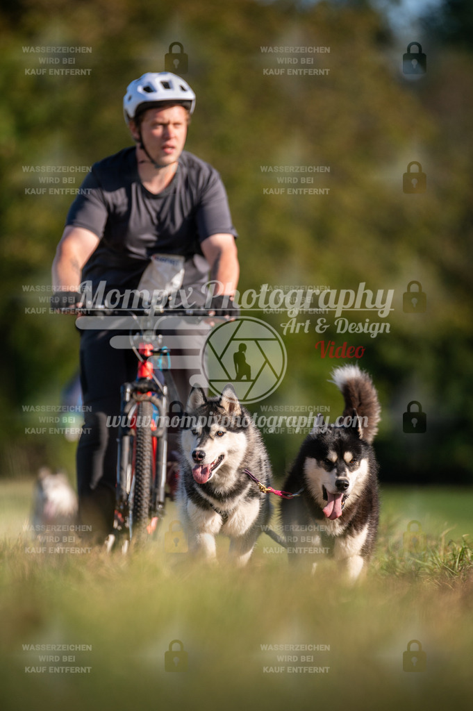 CDLBDB_15_10_2023_Dimanche-363 | PayLife