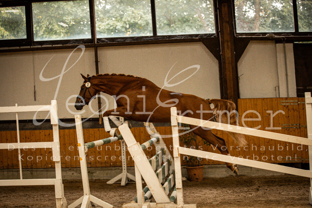 1FS_L00046 | Leoni Ertmer Photography - Realisiert mit Pictrs.com