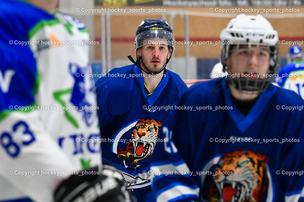 EC Tigers Paternion vs. EC Virgen 12.2.2023 | #8 Ortner Sandro