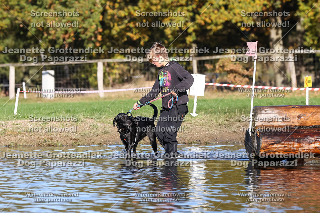 Dog Paparazzi - Strongdog 10-25-8796 | Dog Paparazzi Jeanette Grottendiek Fotografie & Videografie - Realisiert mit Pictrs.com