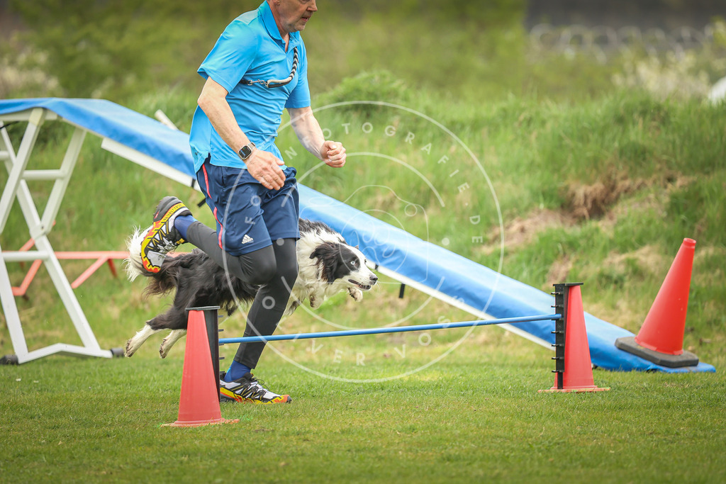 Pfotenfotografie_0L8A0085 | Hundefotografie, Tierfotograf, Pfotenfotografie, Fotoshooting Hund, Hunde Portrait, Hundesport, Hundeportraits, Heideshooting, Hunde, Sportfotograf, Hundefotograf, Turnierhundsport, THS,  - Realisiert mit Pictrs.com