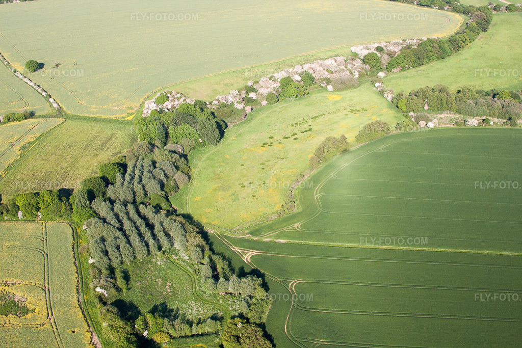 Aerial view: View of the town in Ford in the state England, Great Britain.Photo: IMG_50355.jpg taken on 05/27/2012 by Werner Riehm/FLY-FOTO.comResolution of the original: 4752 x 3168 px