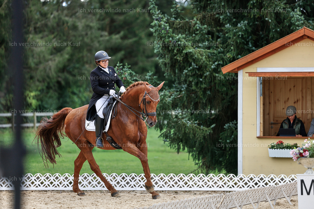 11-023-Dressur S___-StoibPH-1138 | working equitationturnier fotograf videograf stoibphotography marixx film working equitation deutschland reitsport turnierfotografie eventfotografie equestrian events
