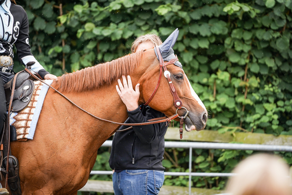 DSC05420 | Pferdegrafie