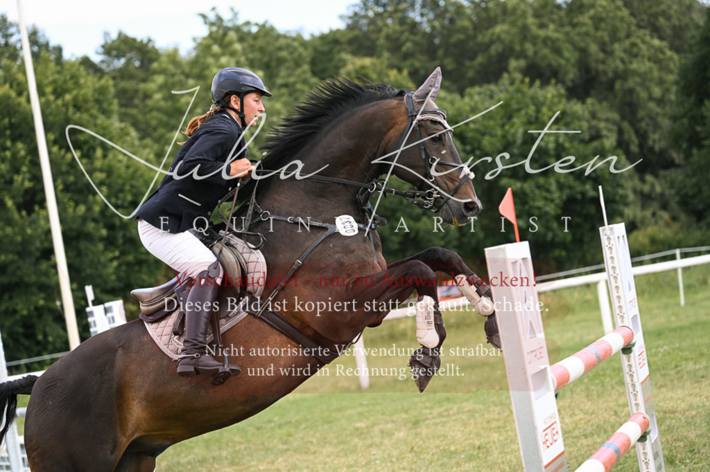 DSC_0875 | Pferde- und Turnierfotografie in Westsachsen. Pferdeportraits, Auftragszeichnungen und intuitive Kunst.