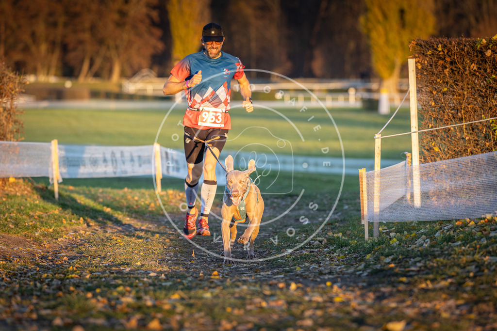 CaniXpix_DV3A5661 | Hundefotografie, Tierfotograf, Pfotenfotografie, Fotoshooting Hund, Hunde Portrait, Hundesport, Hundeportraits, Heideshooting, Hunde, Sportfotograf, Hundefotograf, Turnierhundsport, THS,  - Realisiert mit Pictrs.com