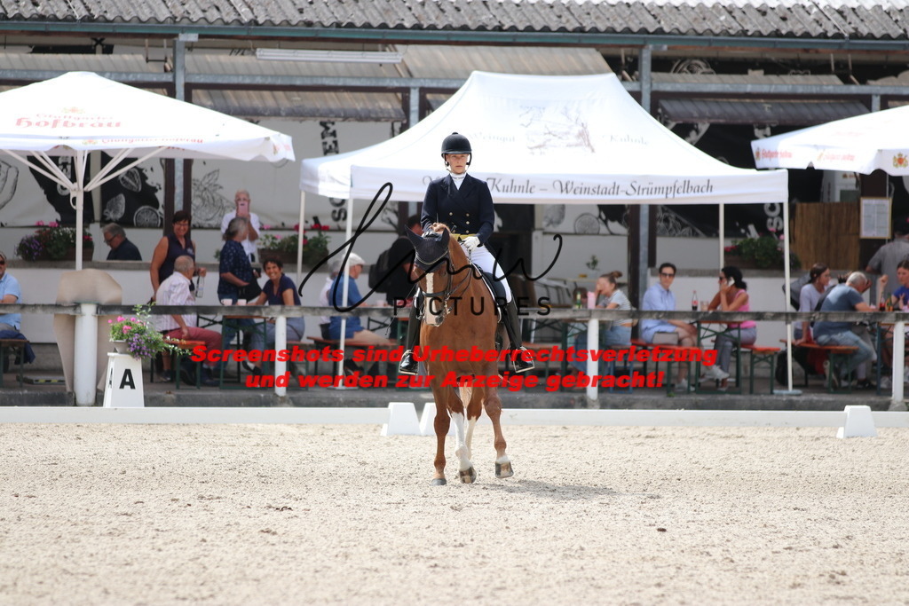 IMG_1561 | lmwpictures - Realisiert mit Pictrs.com