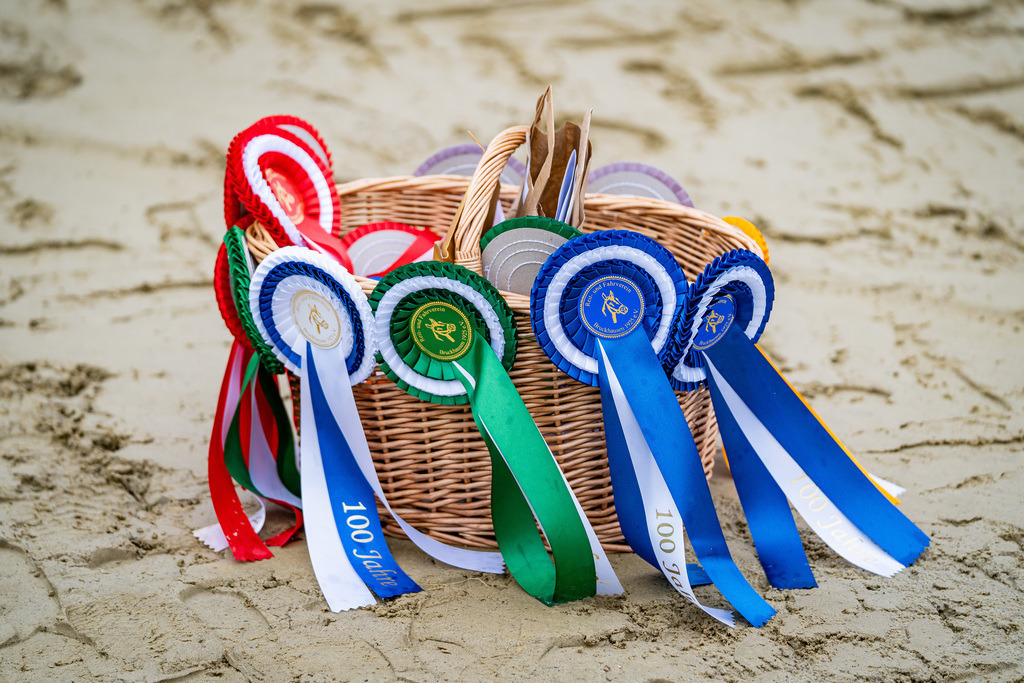 DSC01442 | Pferdegrafie