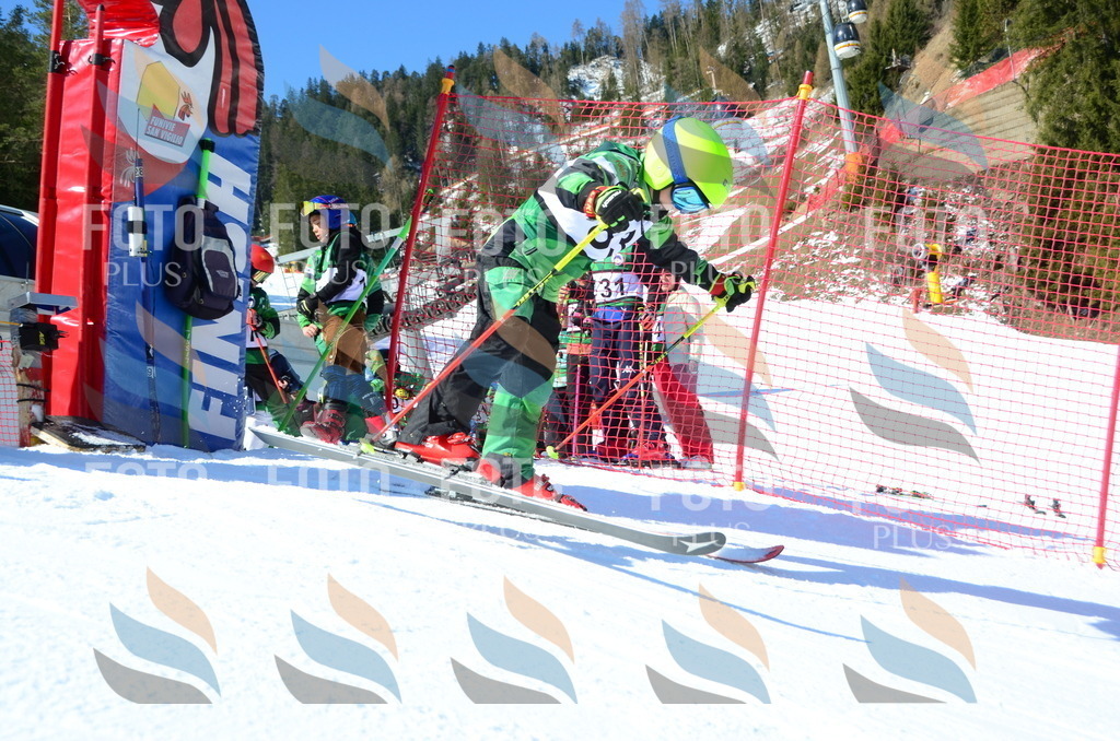 C5606 | holidayphoto