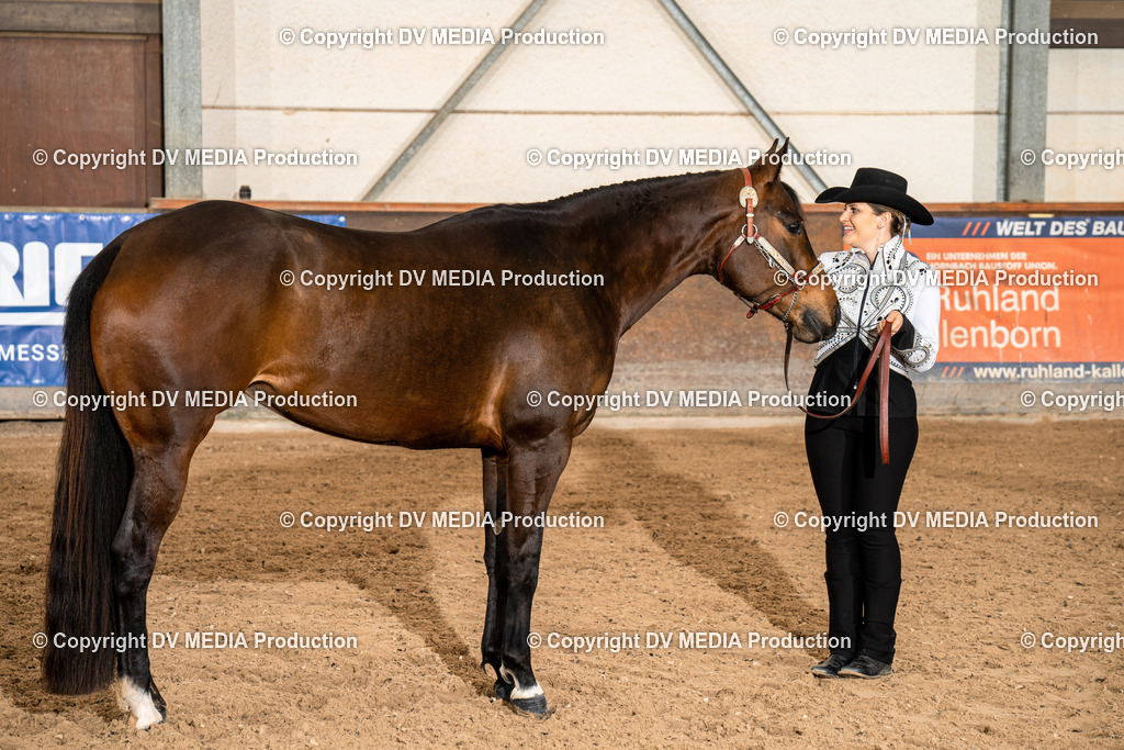 Heiligenwald Tag 1-119 | dv-media-shop - Realisiert mit Pictrs.com