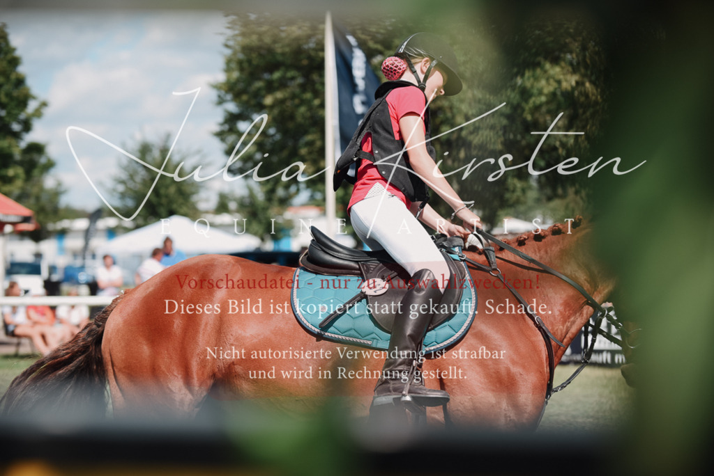 DSC_5761 | Pferde- und Turnierfotografie in Westsachsen. Pferdeportraits, Auftragszeichnungen und intuitive Kunst.