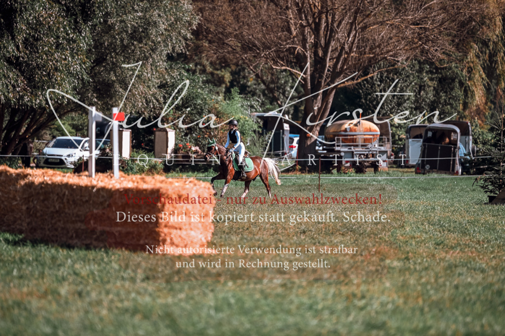 DSC_0848 | Pferde- und Turnierfotografie in Westsachsen. Pferdeportraits, Auftragszeichnungen und intuitive Kunst.