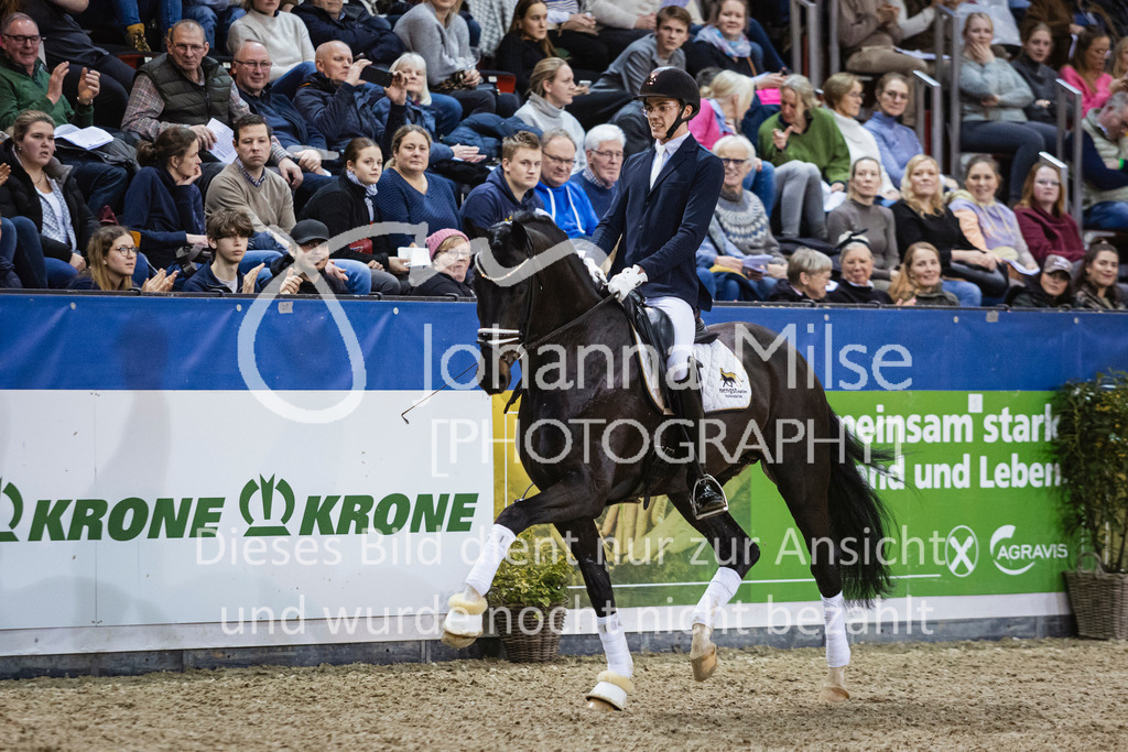 250108_Muenster_Hengstpräsentation-172 | Deine schönsten Turniermomente als professionelle Fotos! Entdecke hochwertige Pferdesport-Fotografie im Online-Shop. Jetzt Fotos finden & bestellen!