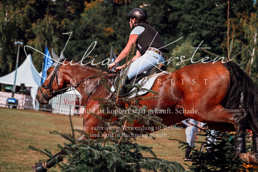 DSC_1013 | Pferde- und Turnierfotografie in Westsachsen. Pferdeportraits, Auftragszeichnungen und intuitive Kunst.