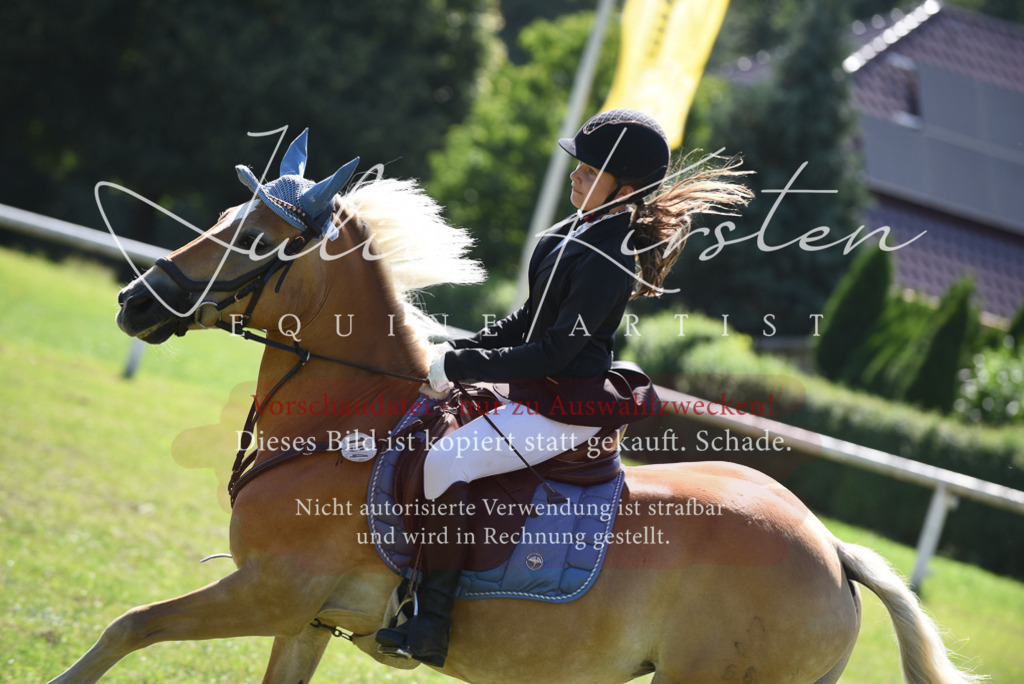 DSC_9326 | Pferde- und Turnierfotografie in Westsachsen. Pferdeportraits, Auftragszeichnungen und intuitive Kunst.