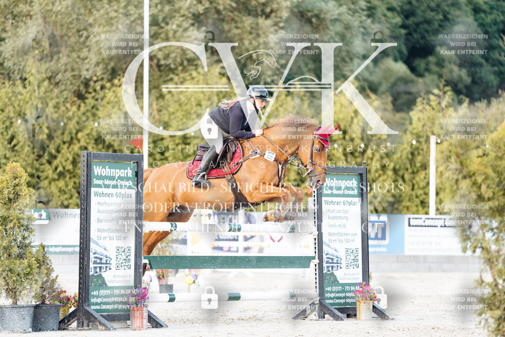 CK901414 | Turnierfotografie Pferdefotografie Trier Rheinland-Pfalz Pferdesport Reitsport Tierfotografie Sportfotografie Pferdevideo Pferdevideografie Equestrianvideography equestrianphotography  - Realisiert mit Pictrs.com