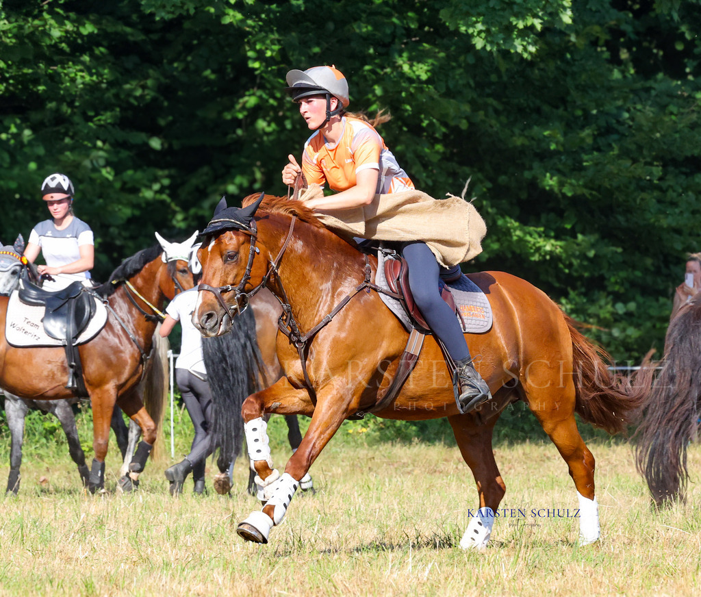 1B3A8324 | Reitsport Reiten