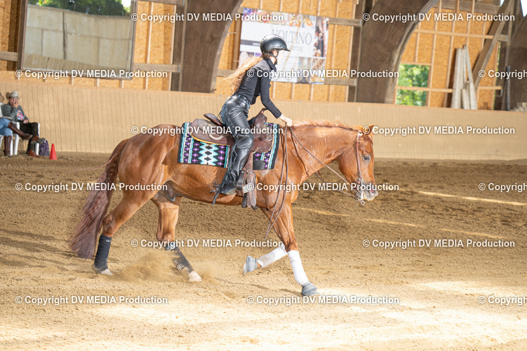 DSC00028 | dv-media-shop - Realisiert mit Pictrs.com