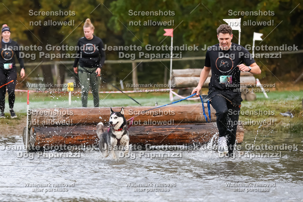 Dog Paparazzi - Strongdog 10-25-6209 | Dog Paparazzi Jeanette Grottendiek Fotografie & Videografie - Realisiert mit Pictrs.com