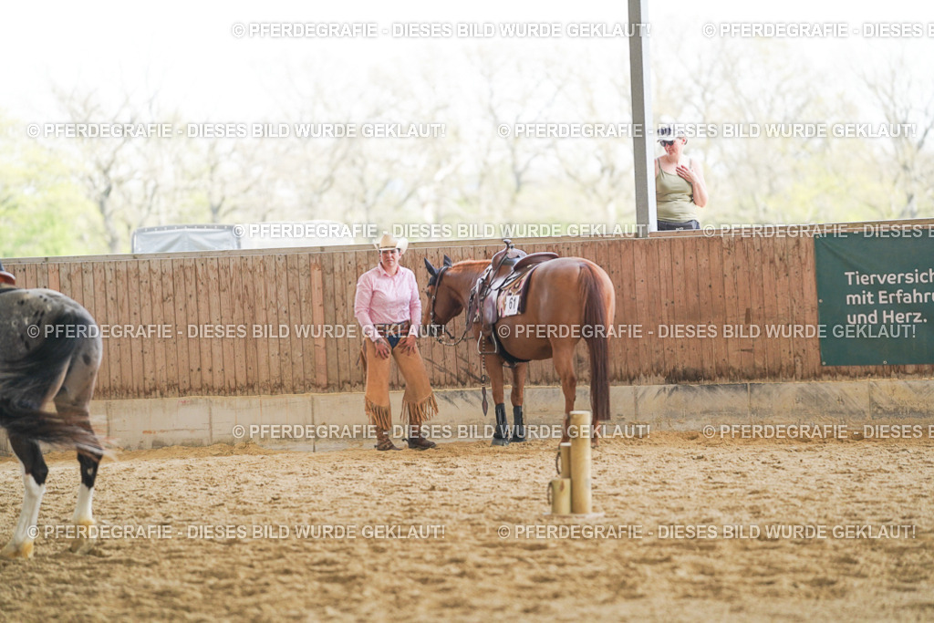 DSC02151 | Pferdegrafie