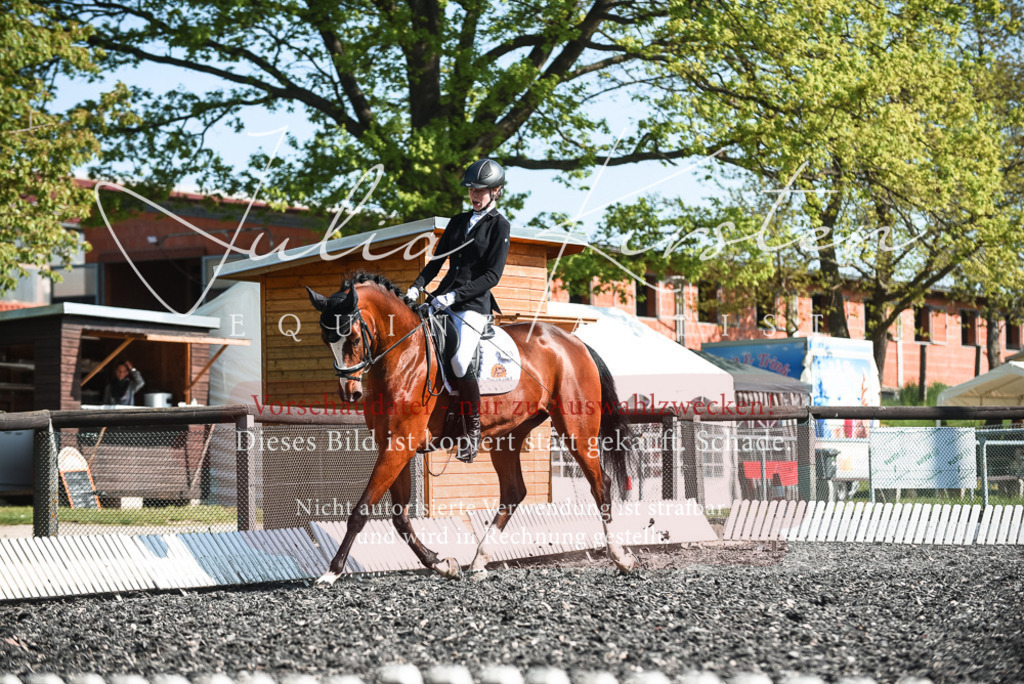 DSC_8665 | Pferde- und Turnierfotografie in Westsachsen. Pferdeportraits, Auftragszeichnungen und intuitive Kunst.