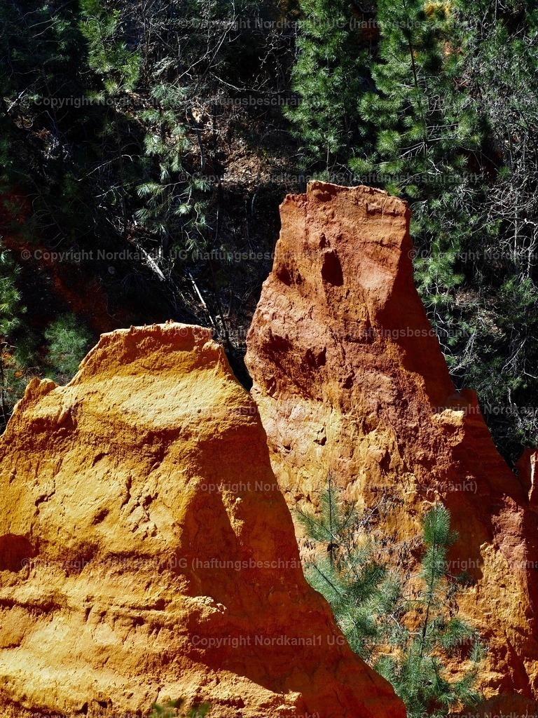 IMG_2967 | OLYMPUS DIGITAL CAMERA          - Realisiert mit Pictrs.com