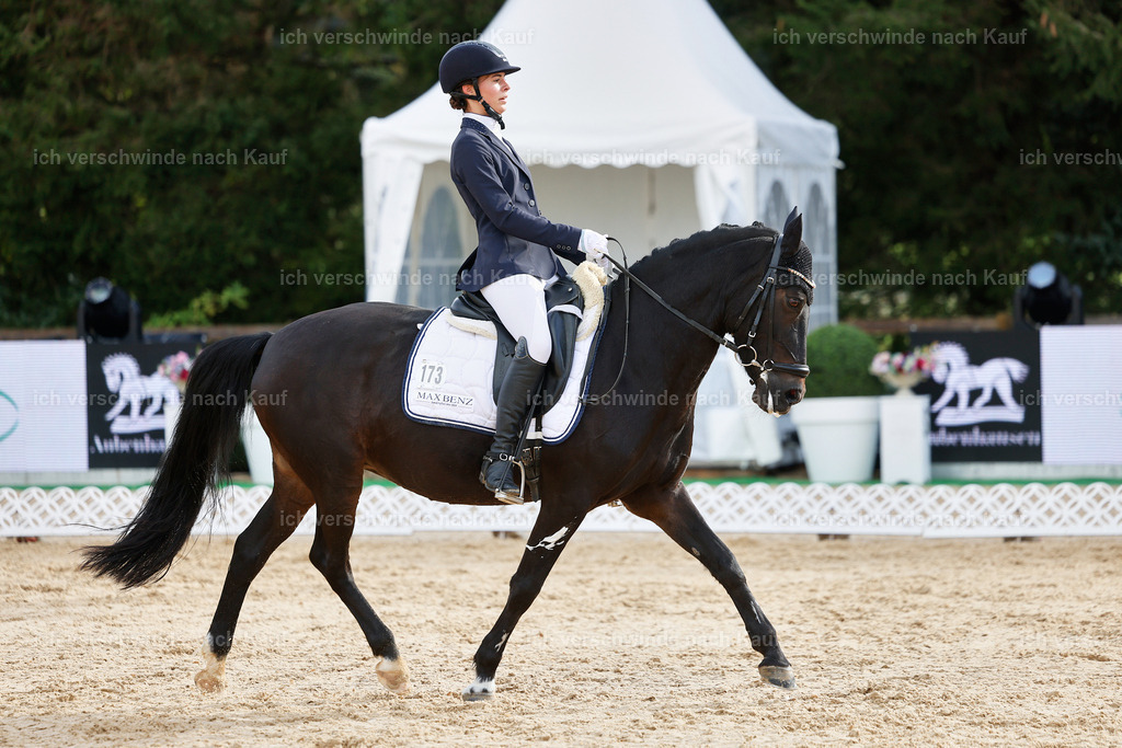 02-173-DRESSUR L_  -StoibPH-4759 | working equitationturnier fotograf videograf stoibphotography marixx film working equitation deutschland reitsport turnierfotografie eventfotografie equestrian events