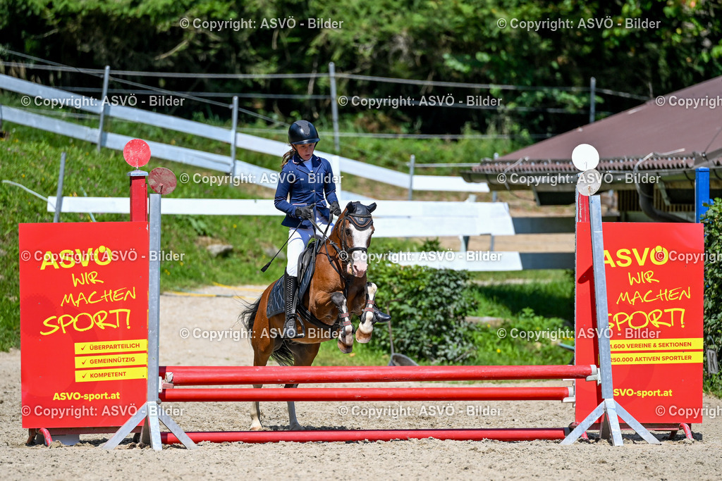 ASVÖ_ Reiten Bezirksmeisterschaft_ 24.08.2025-100 | 24.08.2025, AUT, ASVÖ, Reiten Bezirksmeisterschaft 2025Dressur und Springreiten©fodo.media / Harald Dostal - Realisiert mit Pictrs.com