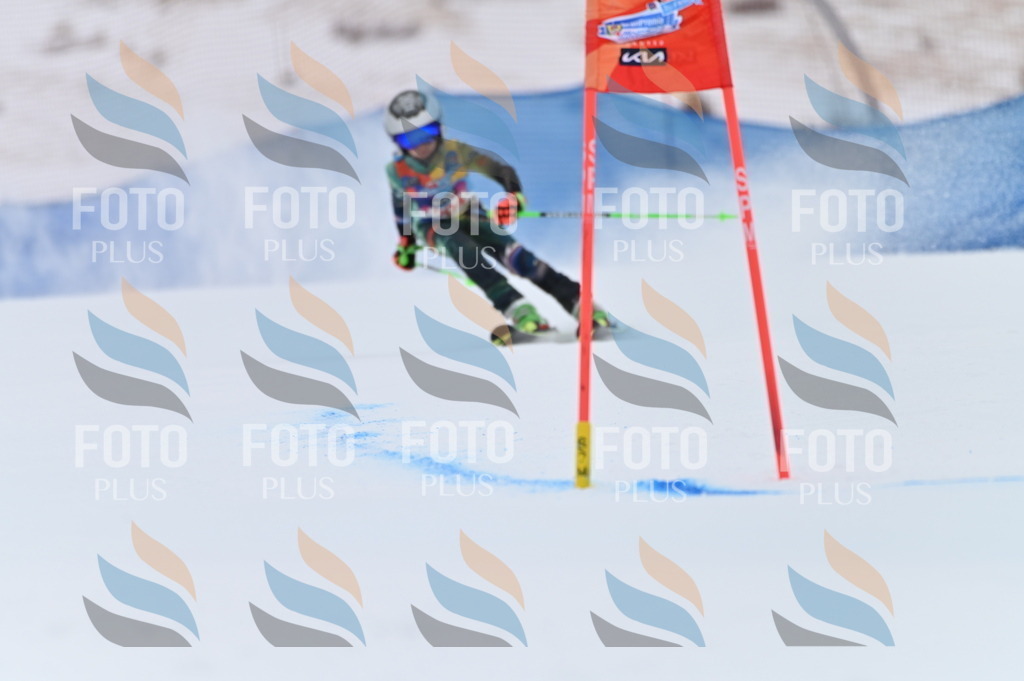 BGV_2081 | holidayphoto