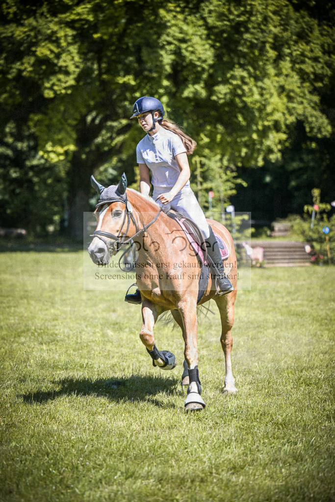 DOS_3421 | Entdecke hochwertige Reitturnierfotos von Foto Oger. Professionell, emotional und authentisch – jetzt Lieblingsmomente im Shop bestellen.Deutschlandweite Turnierfotografie. - Realisiert mit Pictrs.com
