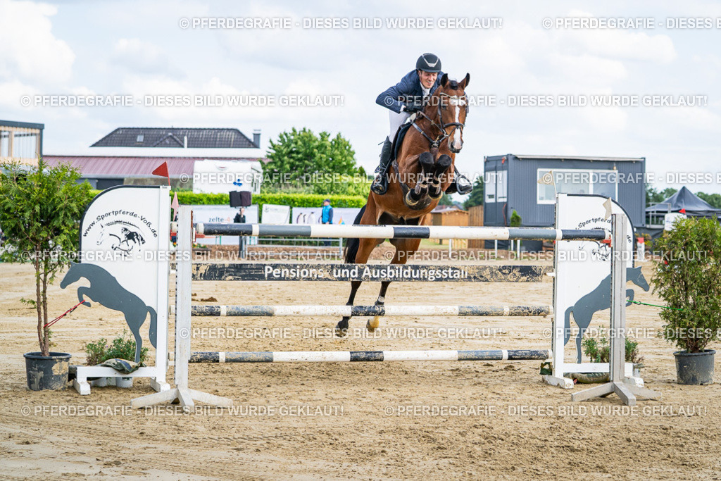 DSC07269 | Pferdegrafie