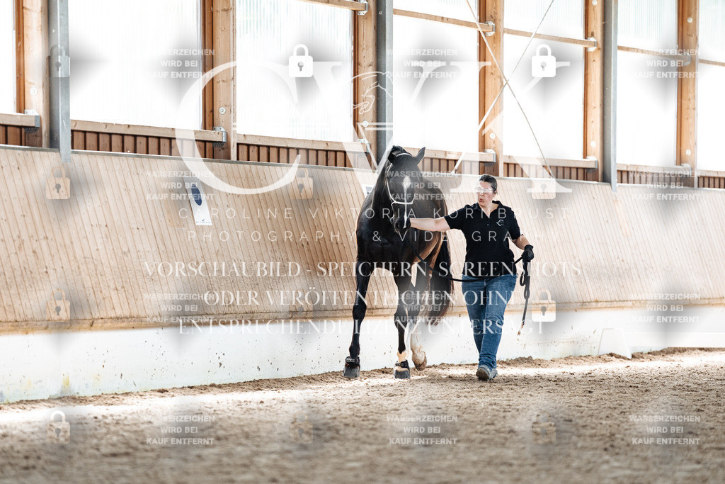 CK907547 | Turnierfotografie Pferdefotografie Trier Rheinland-Pfalz Pferdesport Reitsport Tierfotografie Sportfotografie Pferdevideo Pferdevideografie Equestrianvideography equestrianphotography  - Realized with Pictrs.com