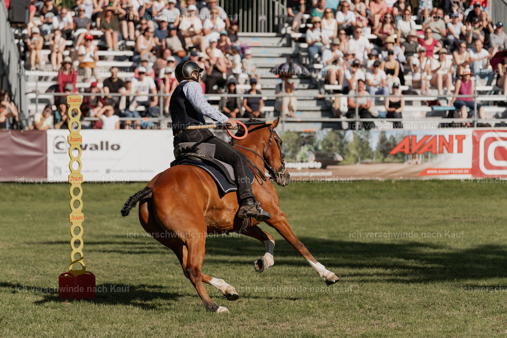 SIN01214 | Pferd International München 2025