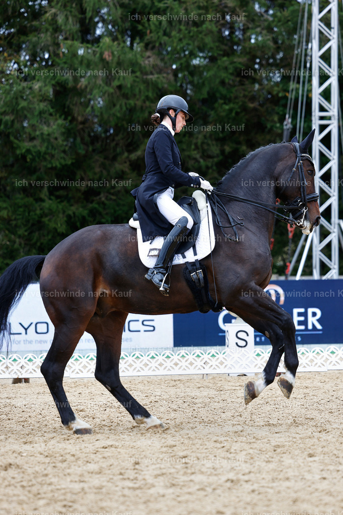 6-113-AMATUER-DRESSUR S_  -StoibPH-3619 | working equitationturnier fotograf videograf stoibphotography marixx film working equitation deutschland reitsport turnierfotografie eventfotografie equestrian events