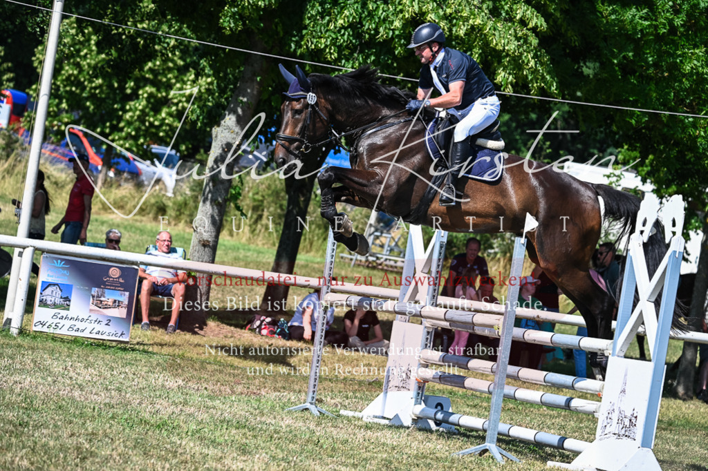 DSC_1708 | Pferde- und Turnierfotografie in Westsachsen. Pferdeportraits, Auftragszeichnungen und intuitive Kunst.