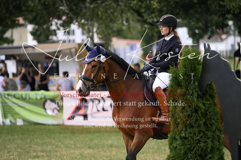 DSC_0883 | Pferde- und Turnierfotografie in Westsachsen. Pferdeportraits, Auftragszeichnungen und intuitive Kunst.