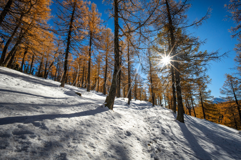 Eulenwiesen | Herbst bei den Eulenwiesen
