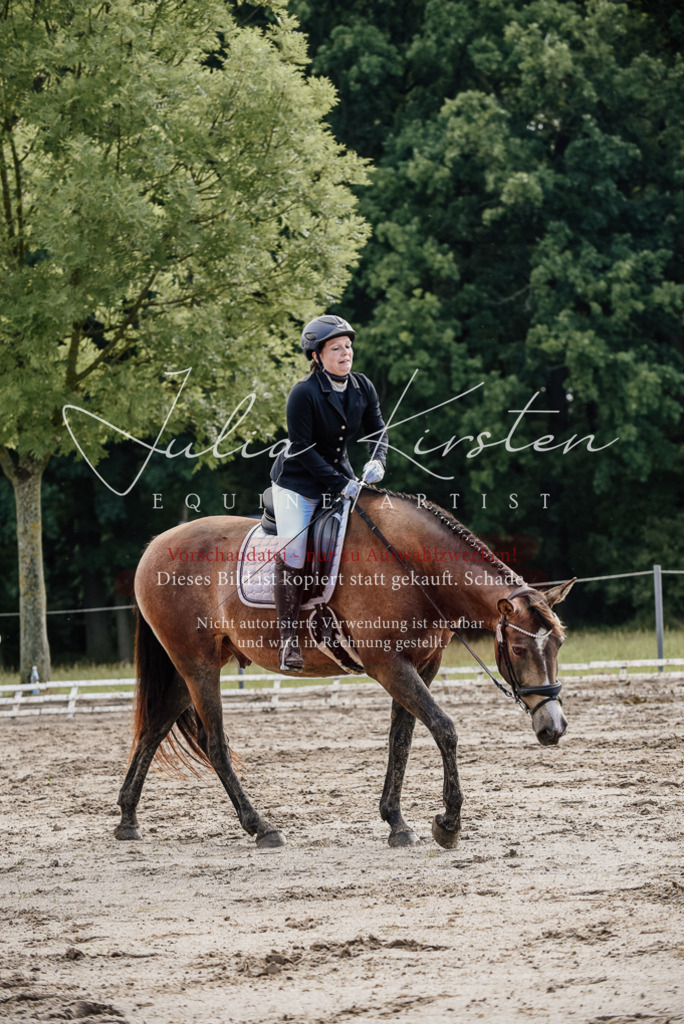 DSC_9326 | Pferde- und Turnierfotografie in Westsachsen. Pferdeportraits, Auftragszeichnungen und intuitive Kunst.