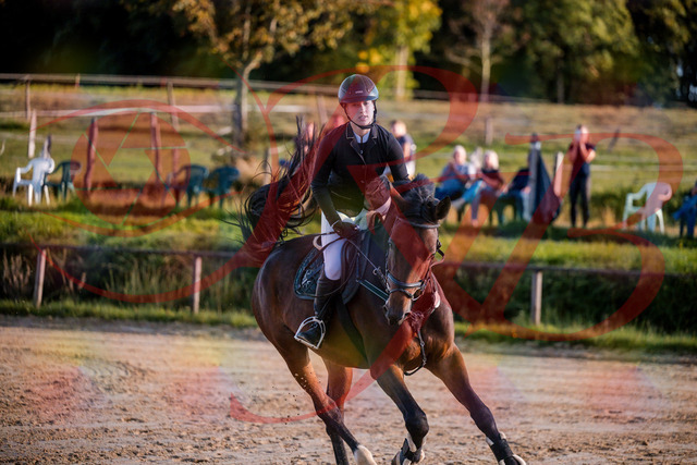 2026_10_03_Siefer-Hof_171051_Z81_08137952 | Professionelle Reitsport-, Turnier- und Eventfotografie von Robert Broda. Galerien mit ausgewählten und bearbeiteten Bildern direkt online ansehen und bestellen.