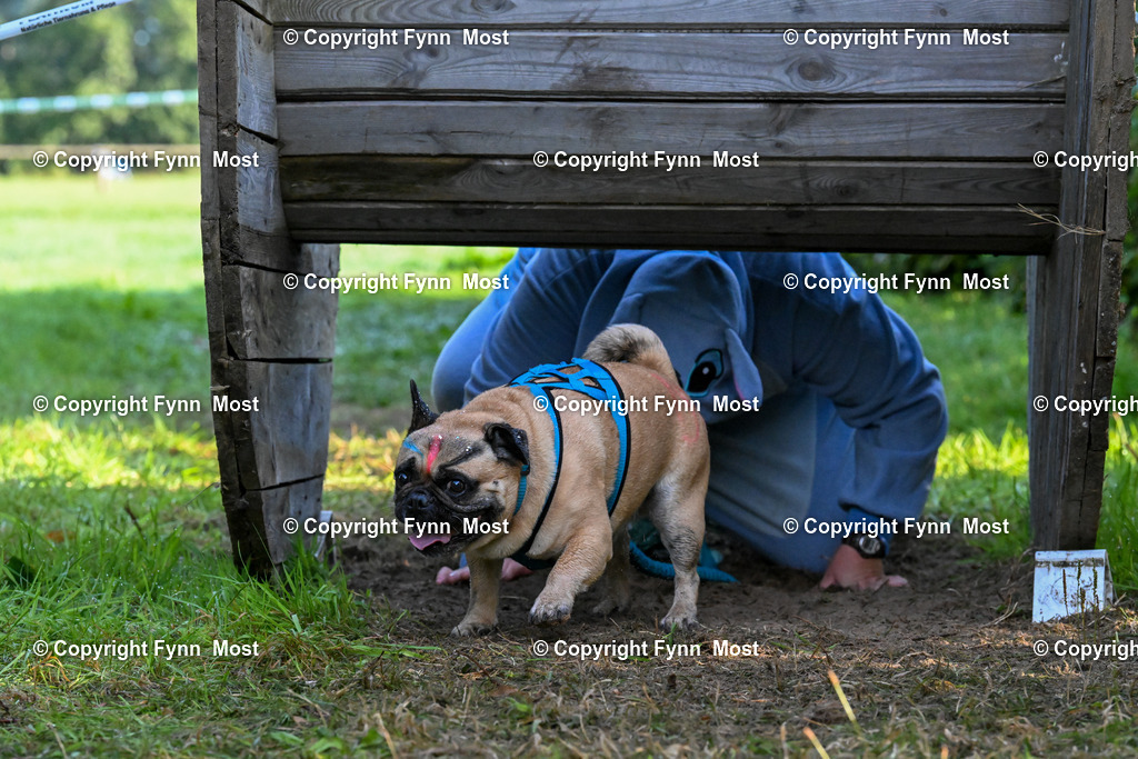 DSC_5197 | Hallo und herzlich Willkommen auf meiner Shop-Seite Fynn Most.

Ich wünsche Dir viel Spaß beim stöbern durch die Bilder, wenn Du Fragen hast oder Bilder vermisst, kannst du mir gerne eine Nachricht schreiben. - Realisiert mit Pictrs.com