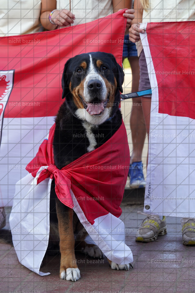 20240823-FAH06826 | Bayerisches Landesponyturnier 2024, Tierhaupten, Turnierbilder, Foto Turnier, Fotoagentur Herrmann, Turnierfotografen Bayern