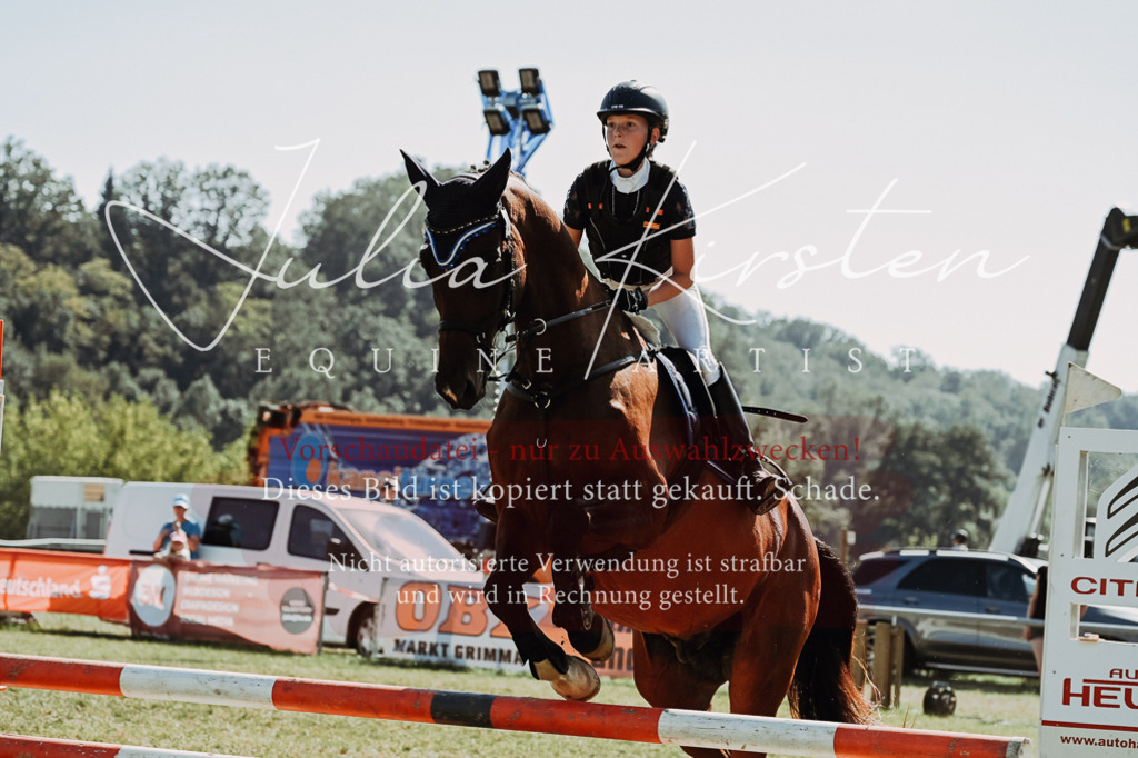 DSC_6603 | Pferde- und Turnierfotografie in Westsachsen. Pferdeportraits, Auftragszeichnungen und intuitive Kunst.